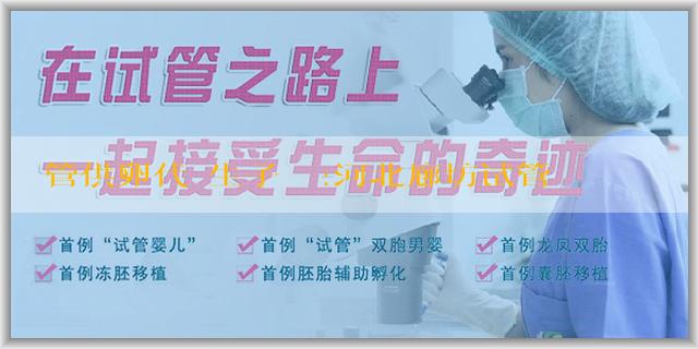 試管供卵代懷生子機構:河北廊坊试管婴儿价格大揭秘：一次全面了解，轻松规划生育预算！