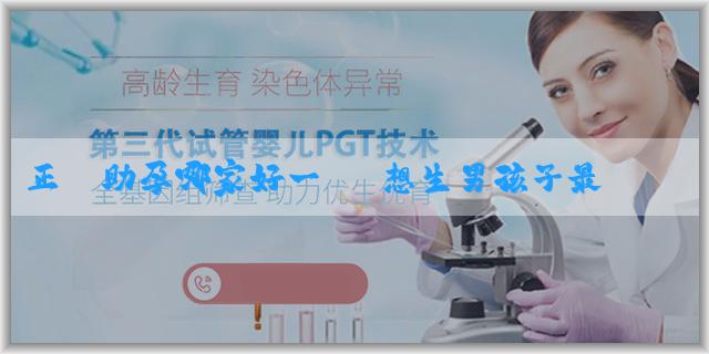 正規助孕哪家好一點 想生男孩子最簡單的方法是什麼？如何調整性行為生男孩？