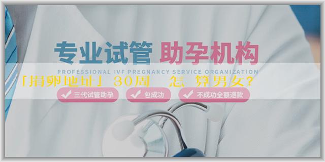 「捐卵地址」30周寶寶怎麼算男女？30周看寶寶男女有什麼科學方法？